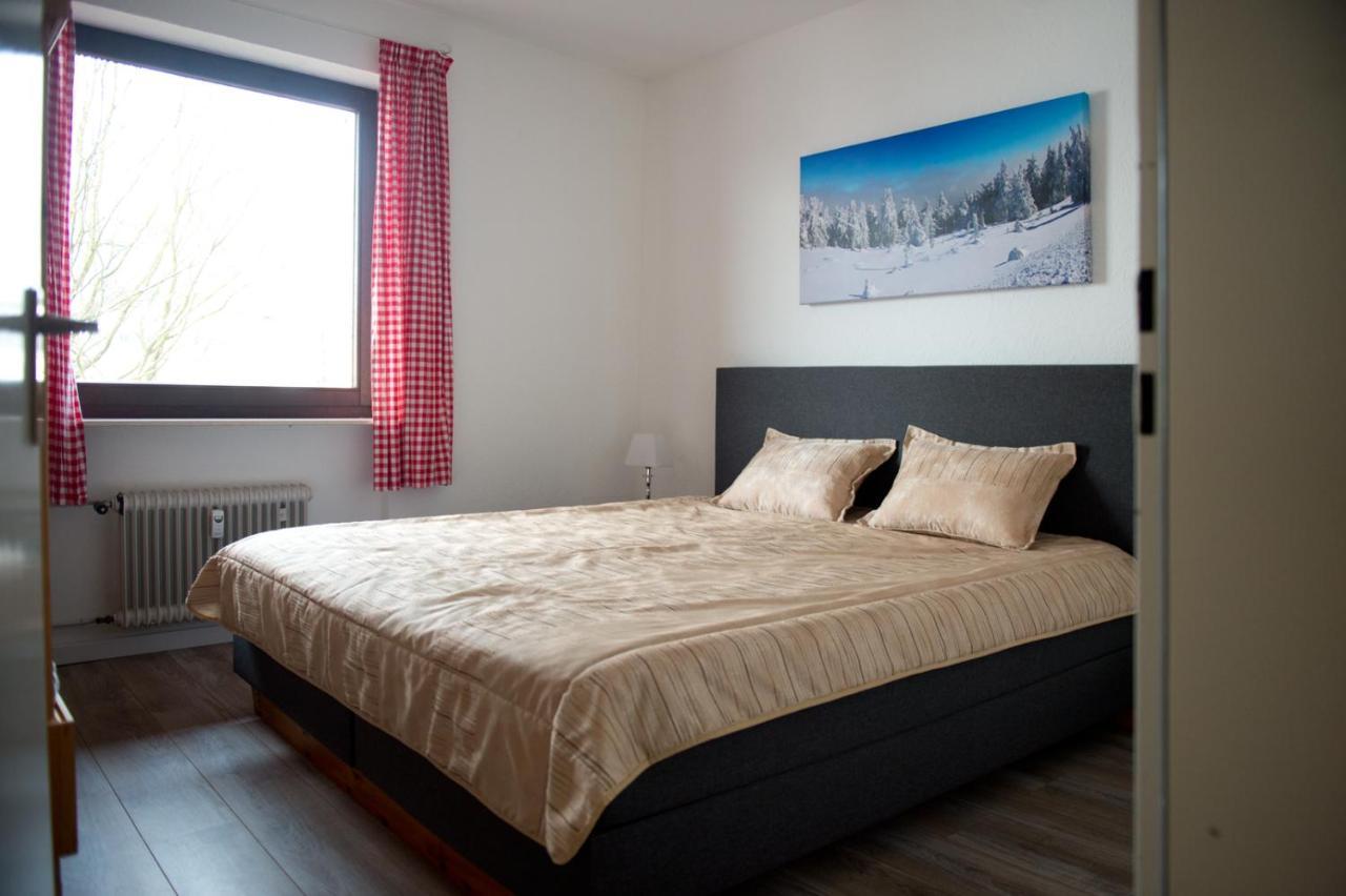 Alpina Apartments In Winterberg Kültér fotó