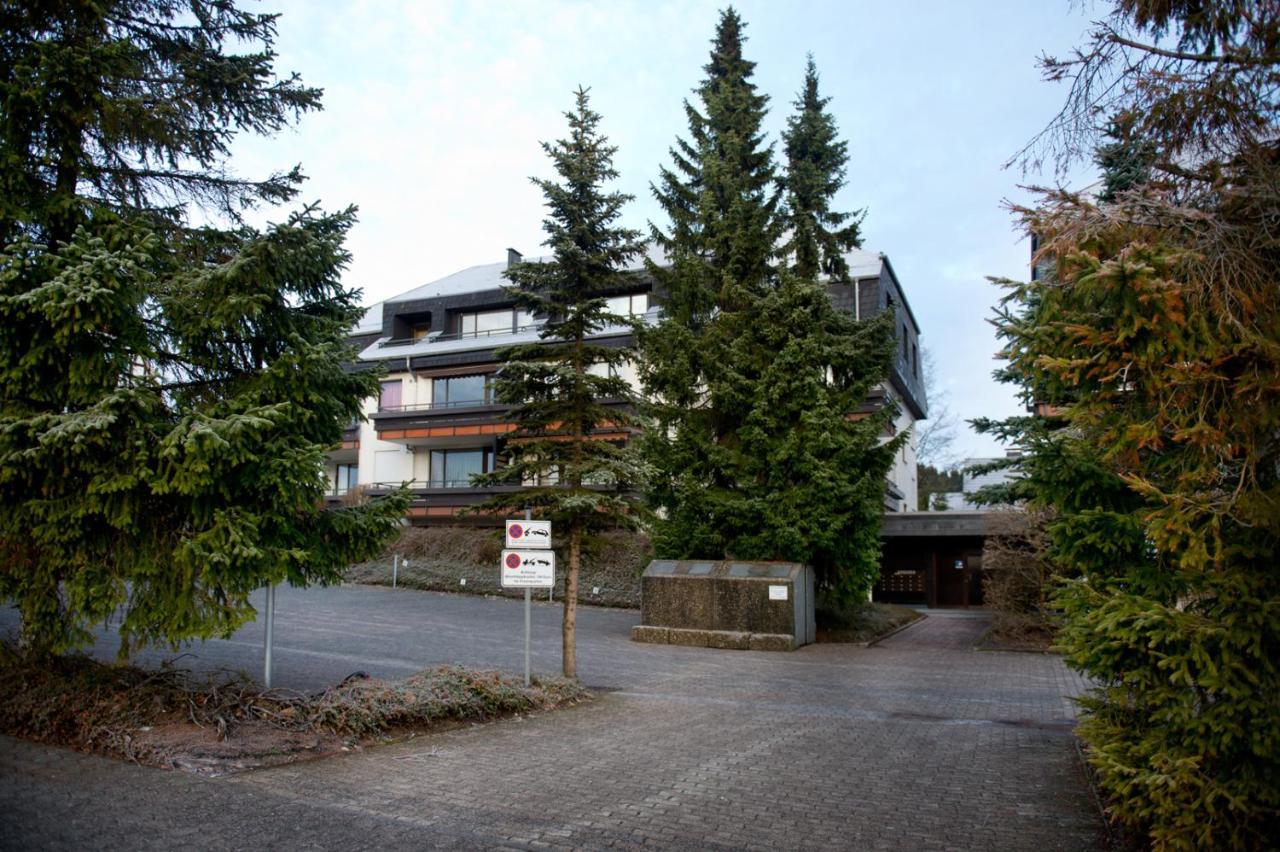 Alpina Apartments In Winterberg Kültér fotó